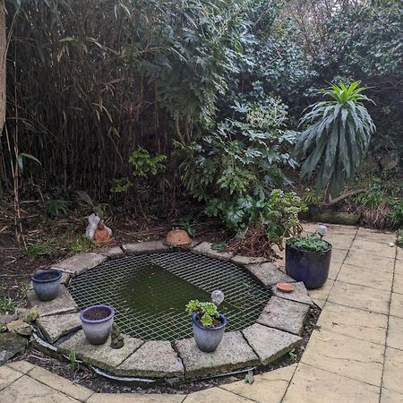 The Garden Apartment St Ives المظهر الخارجي الصورة