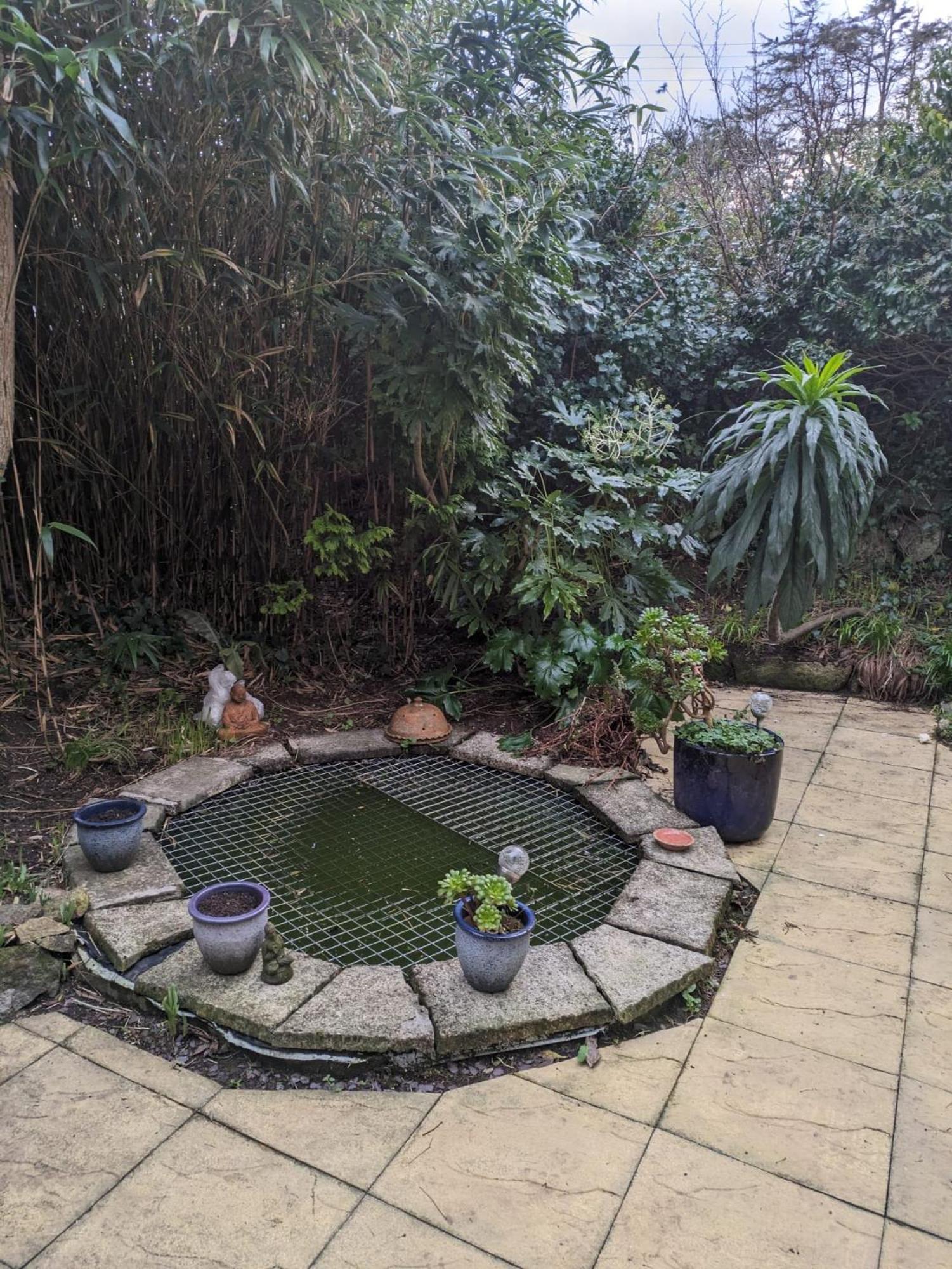 The Garden Apartment St Ives المظهر الخارجي الصورة